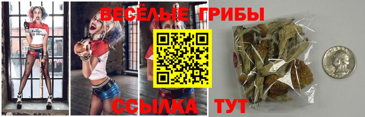 Ростов-на-Дону  где купить наркотик  Вход с VPN  Псилоцибиновые грибы Cubensis 